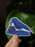 Raben | Sticker